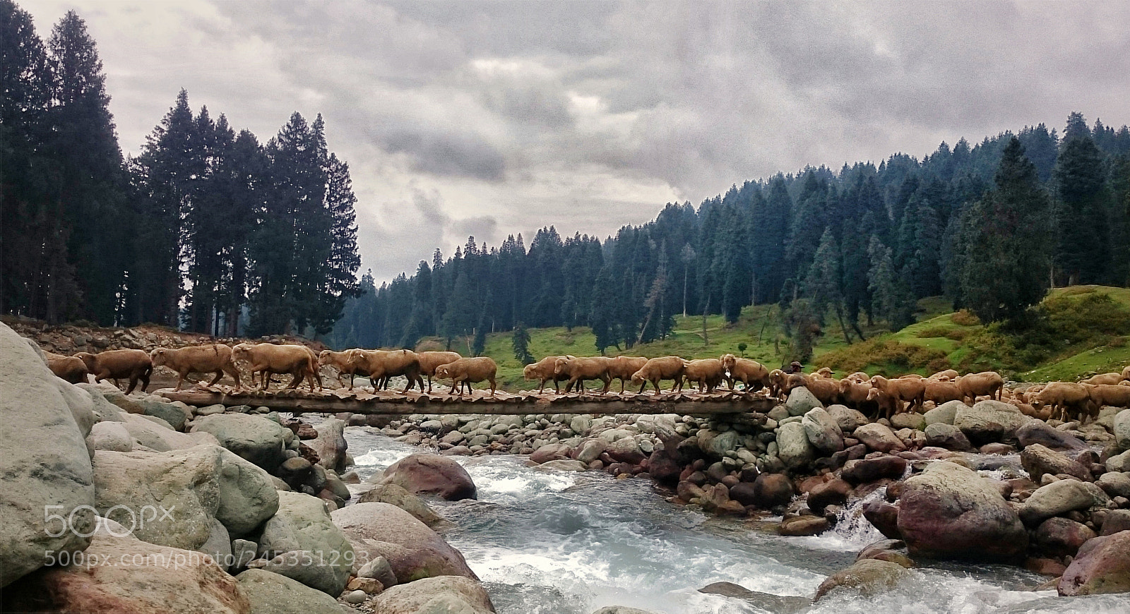 Sony Xperia Z2 sample photo. Across the stream photography