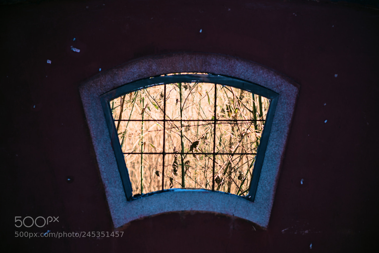 Nikon D610 sample photo. 不闻窗外 photography
