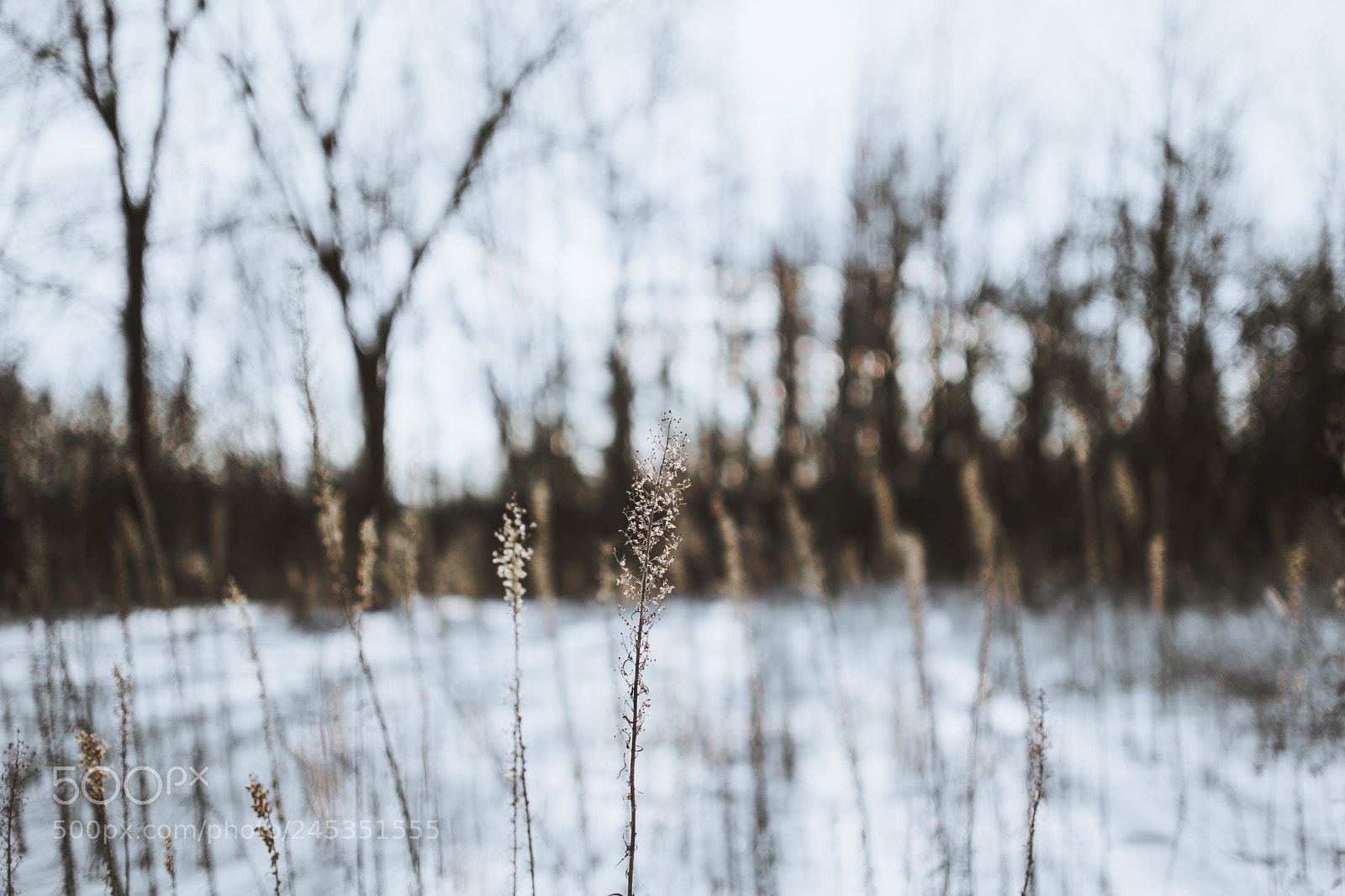 Nikon D7100 sample photo. Moments photography