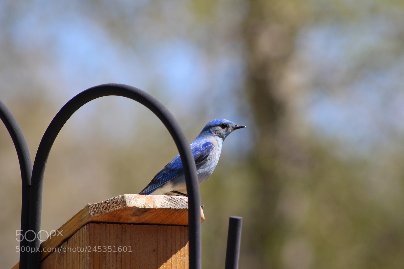 Canon EOS 700D (EOS Rebel T5i / EOS Kiss X7i) sample photo. Img photography