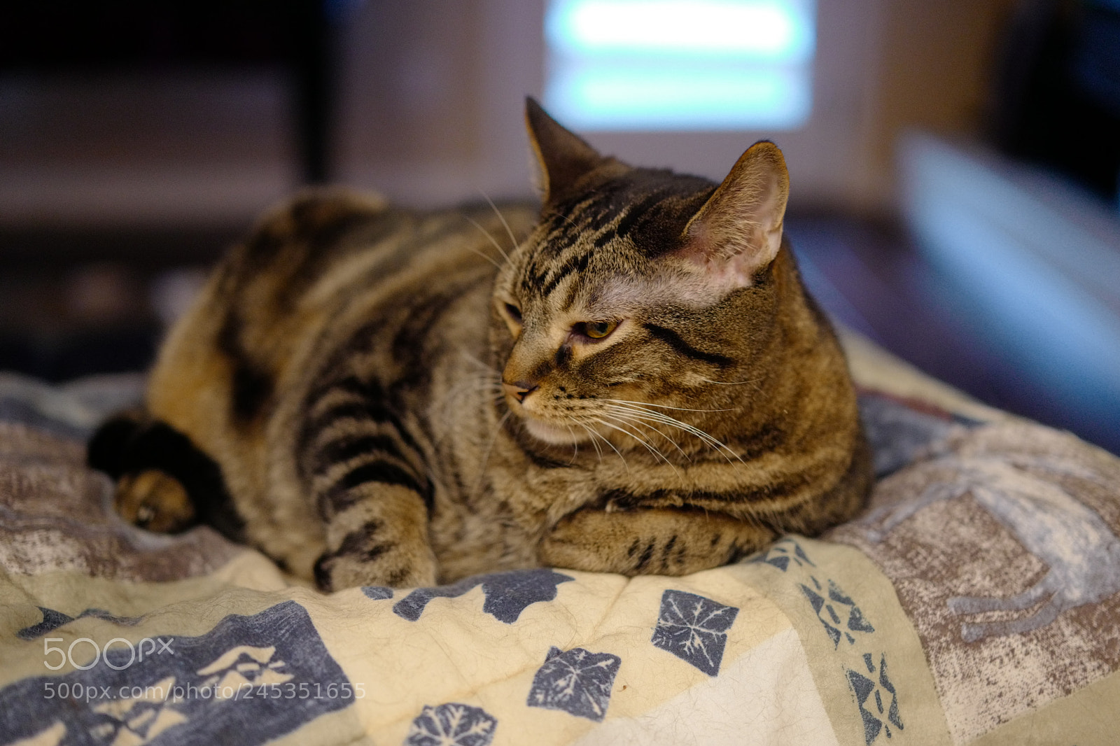 Leica CL sample photo. New lens! photography