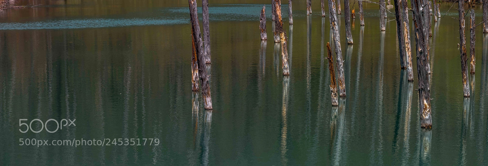 Olympus OM-D E-M5 II sample photo. 青池(aoiike ) in biei hokkaido photography