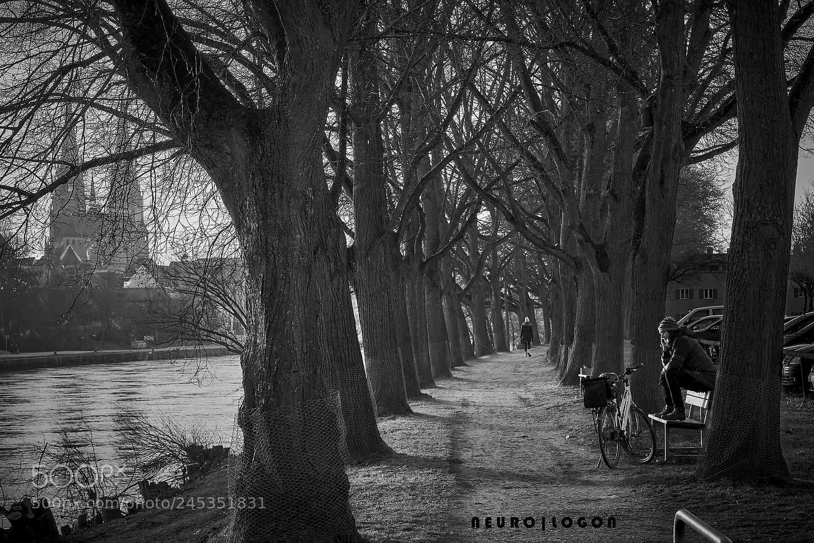 Sony a7R II sample photo. Danube alley photography