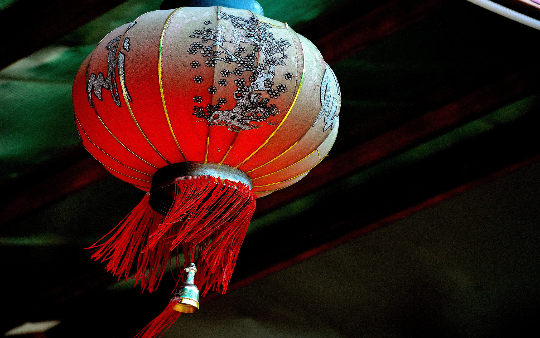 Nikon D3200 sample photo