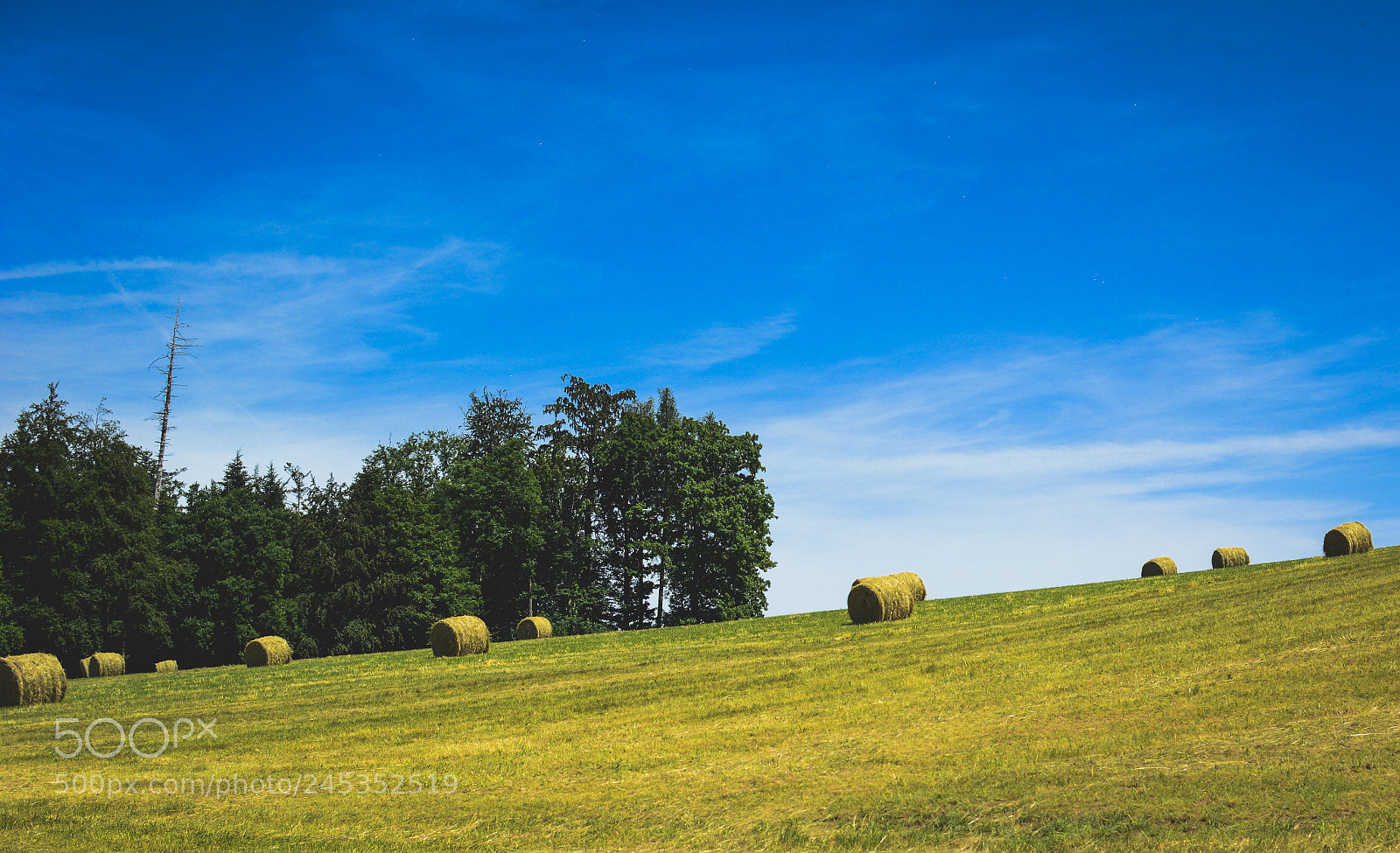 Nikon D5200 sample photo. Tumbling down the meadows photography