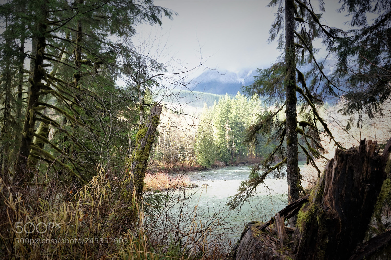 Sony a7 II sample photo. The great wrx getaway photography