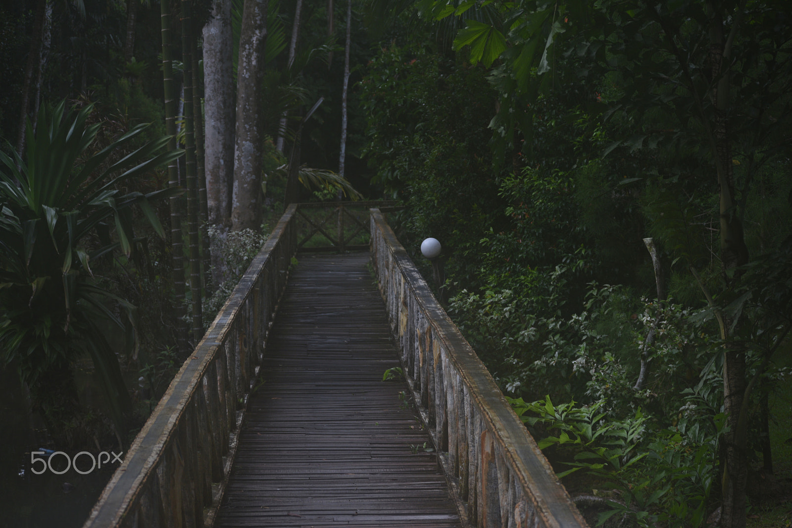 Nikon D5500 sample photo. The lonely walk photography