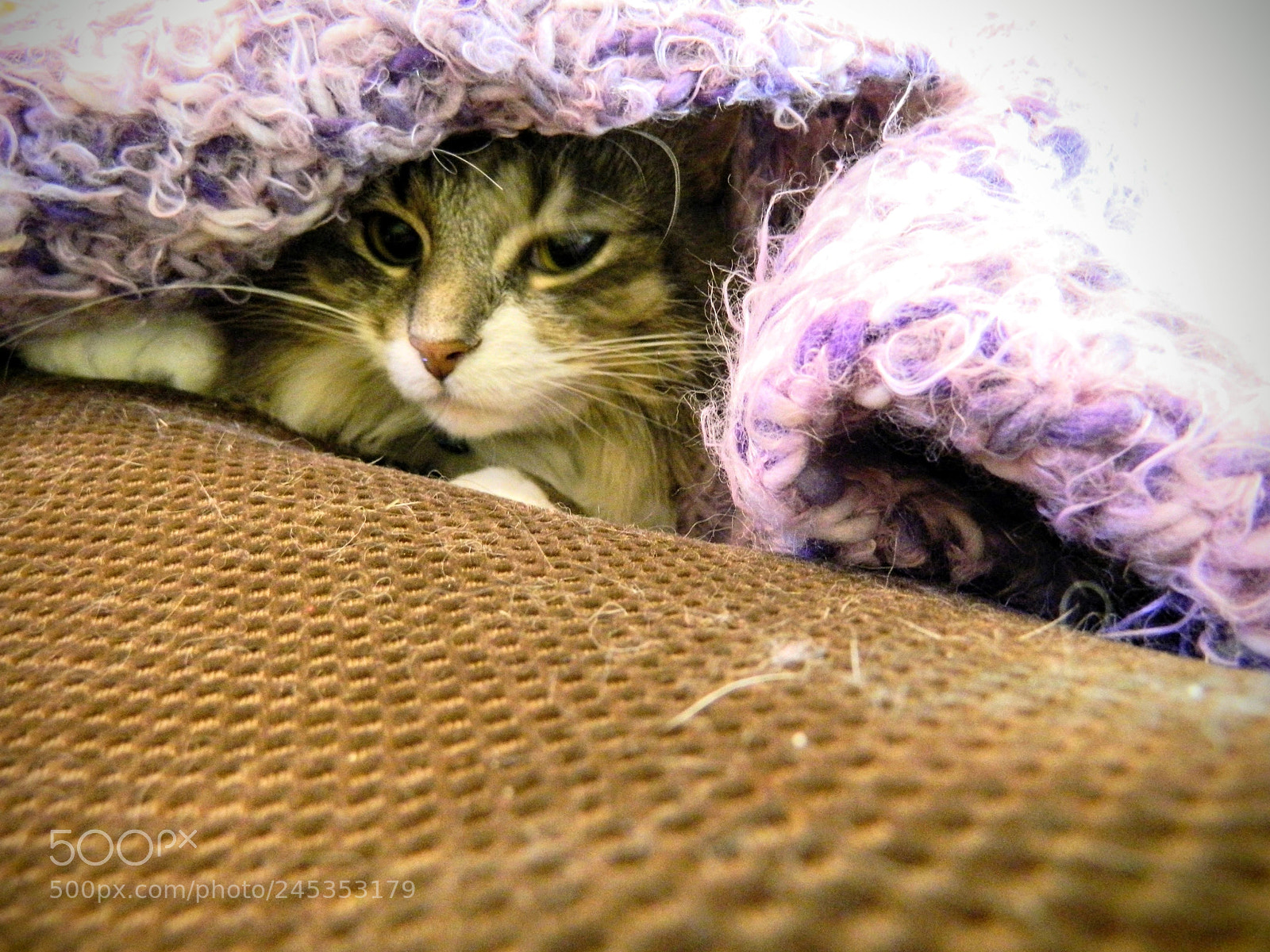 Nikon Coolpix L120 sample photo. It's one of those photography