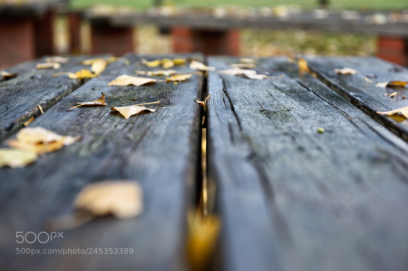Nikon D810 sample photo. Lovely nature xii photography