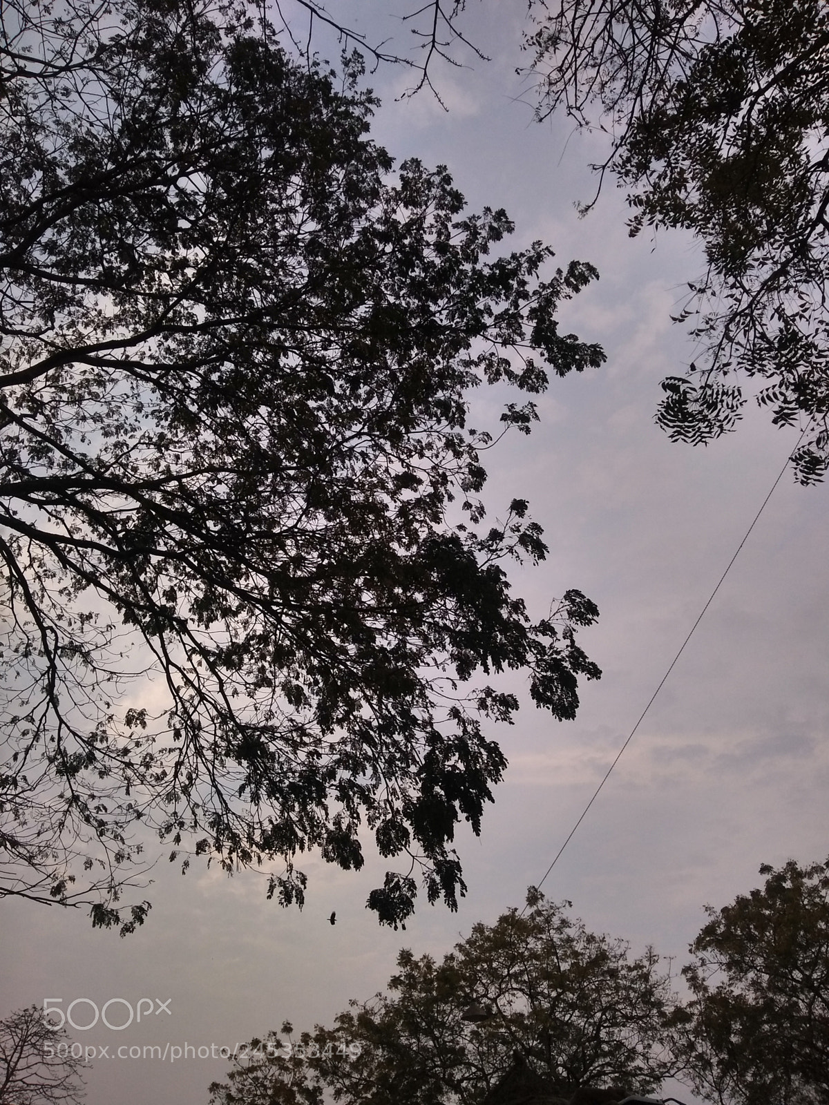 Motorola Moto G (5S) Plus sample photo. Untitled photography