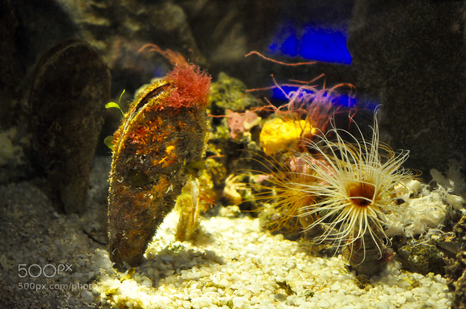 Nikon D90 sample photo. Life colors photography