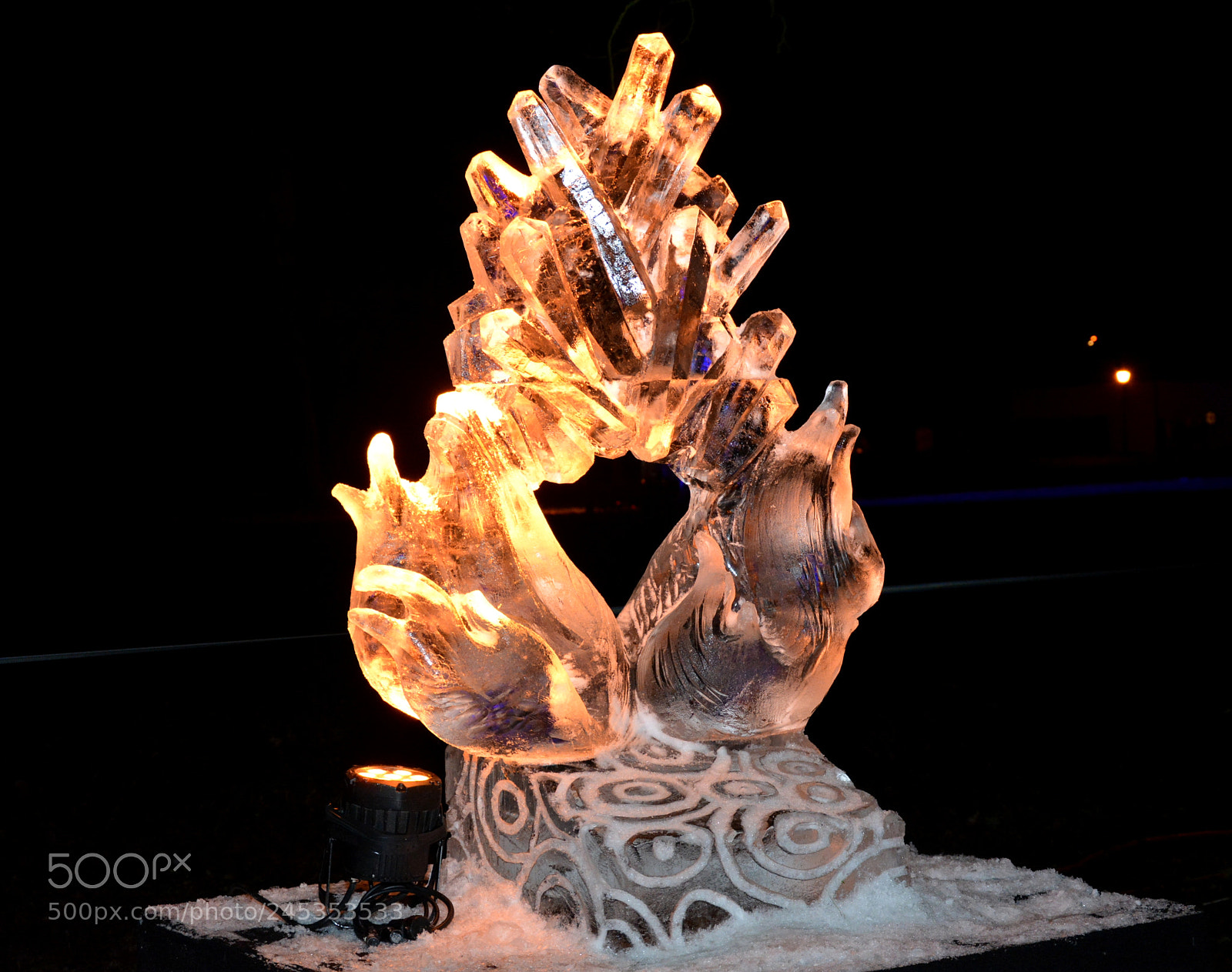 Nikon D5200 sample photo. Ice sculpture 1 photography