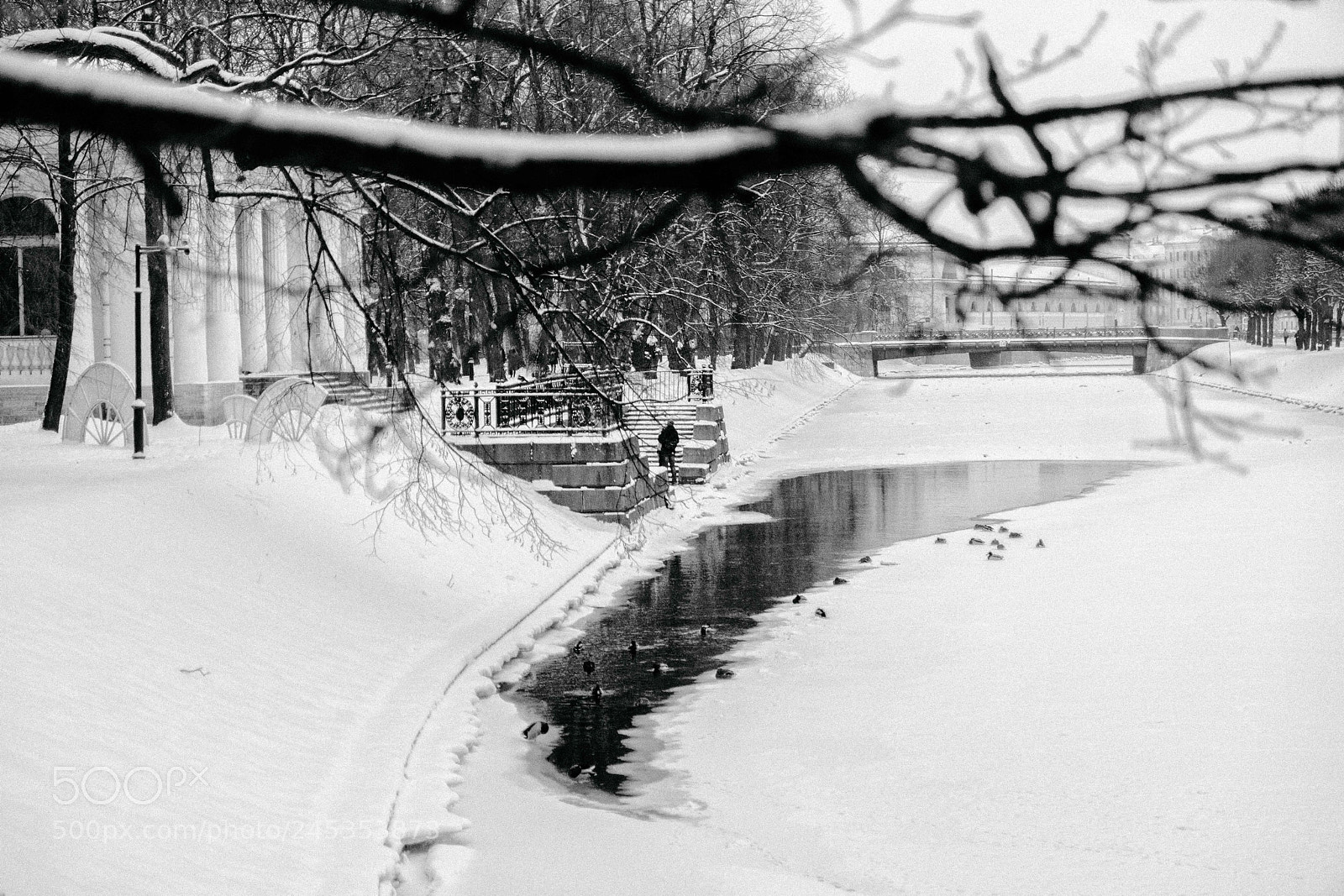 Sony SLT-A77 sample photo. Зимний Петербург photography