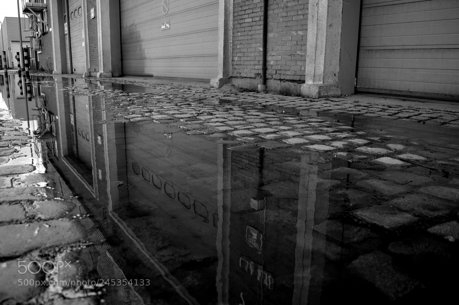 Nikon D3200 sample photo. Untitled image photography