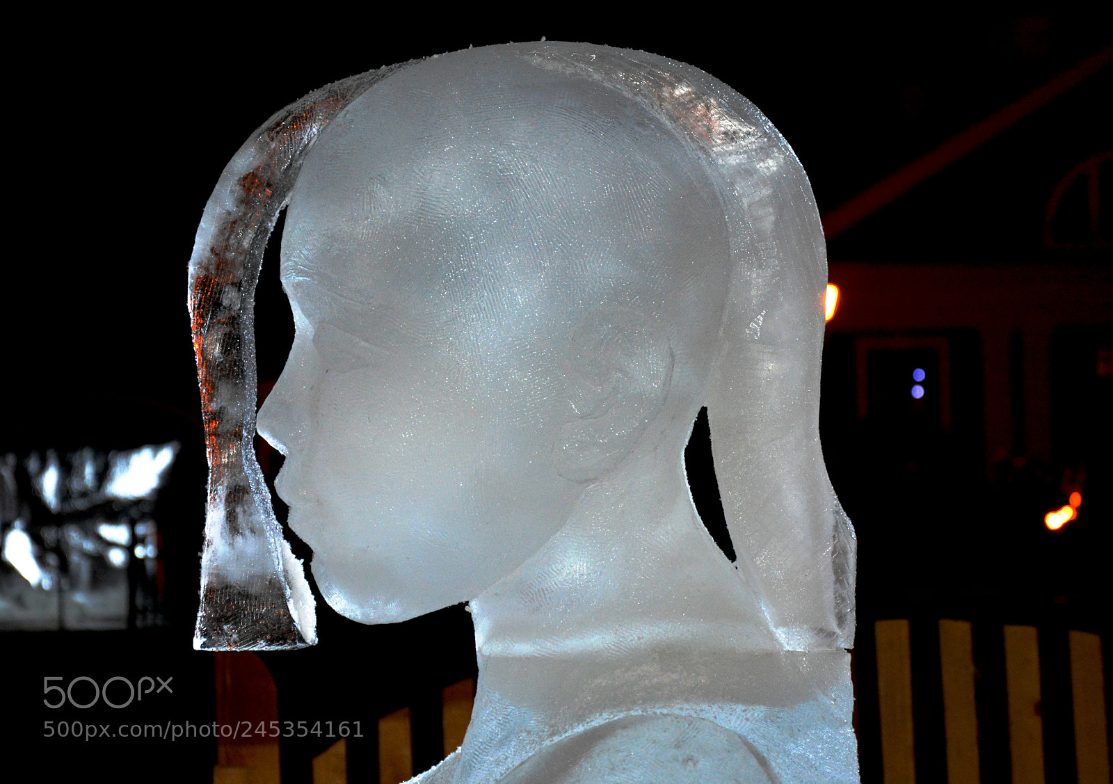Nikon D5200 sample photo. Ice sculpture 2 photography