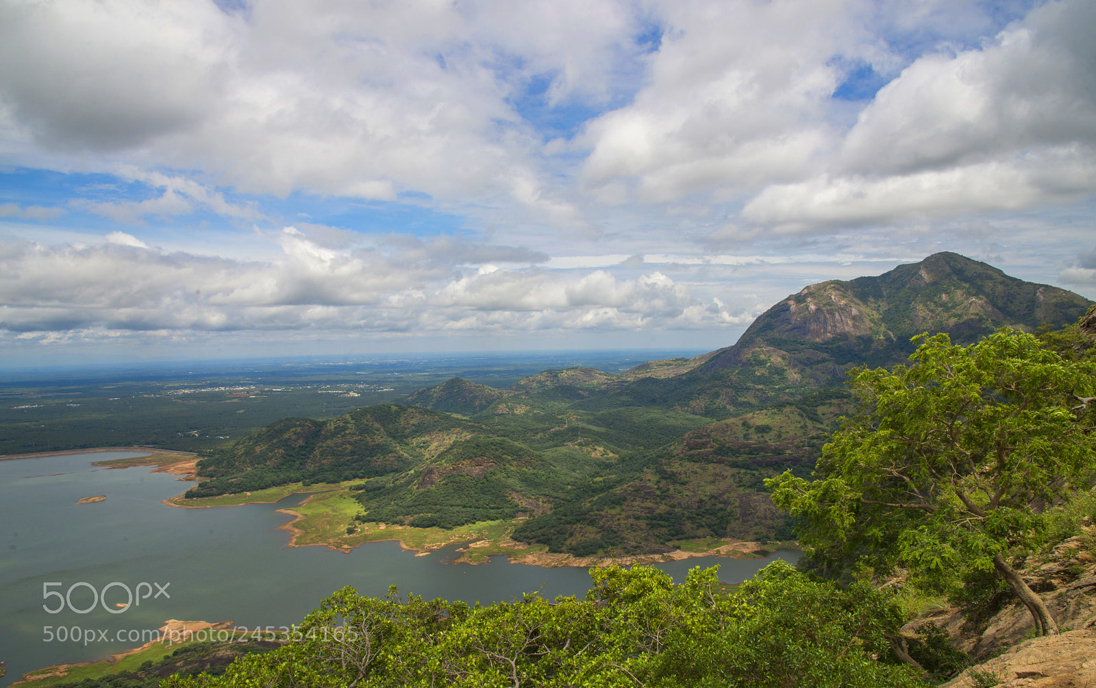 Nikon D800E sample photo. Eagle view photography