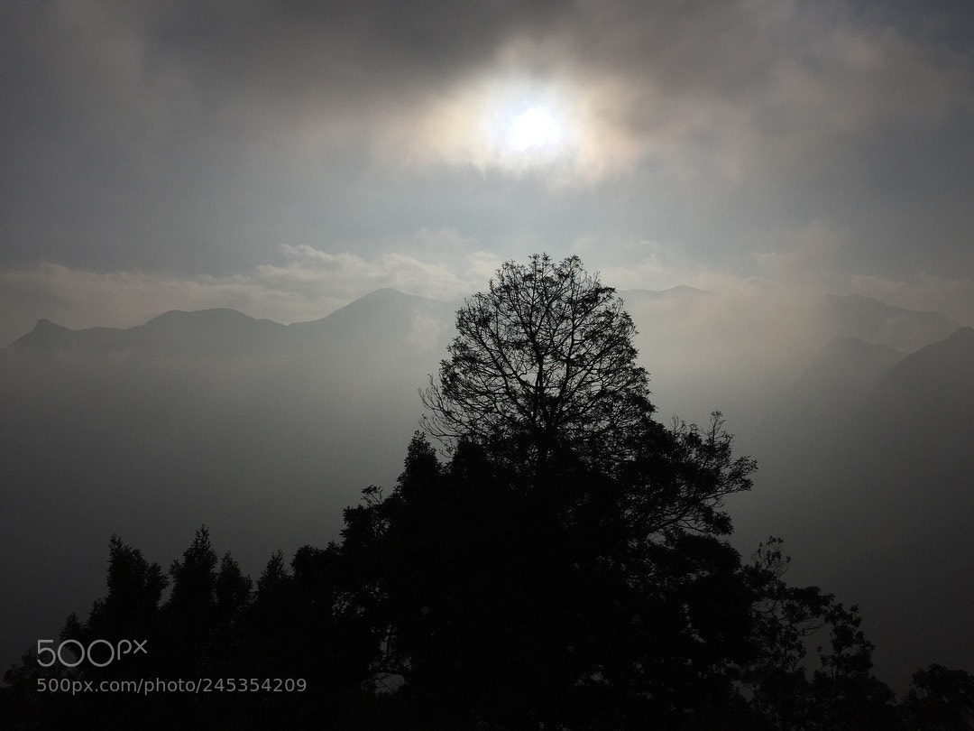 Apple iPhone 6 sample photo. Munnar top station photography
