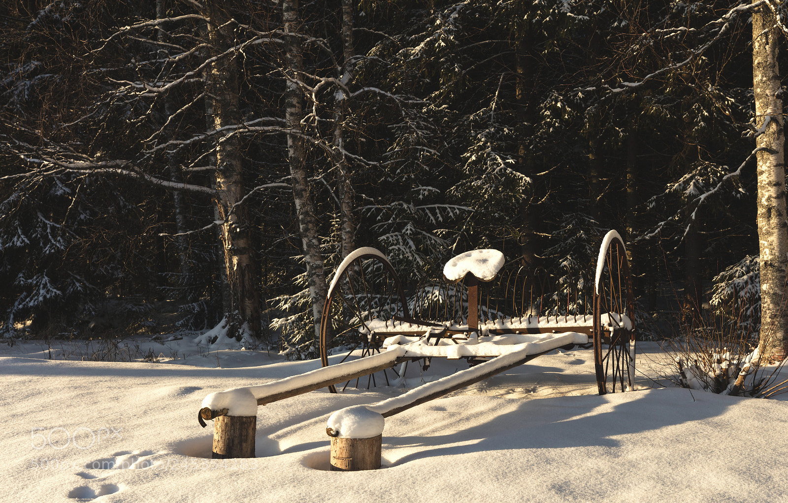 Canon EOS 5DS sample photo. Horse carts photography