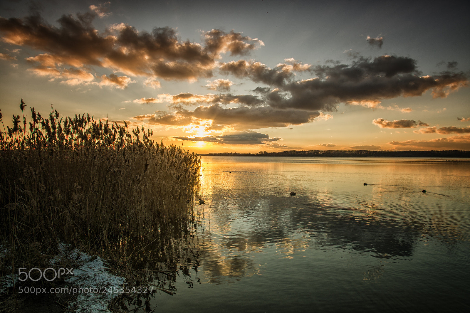 Nikon D7200 sample photo. Die farben am see photography