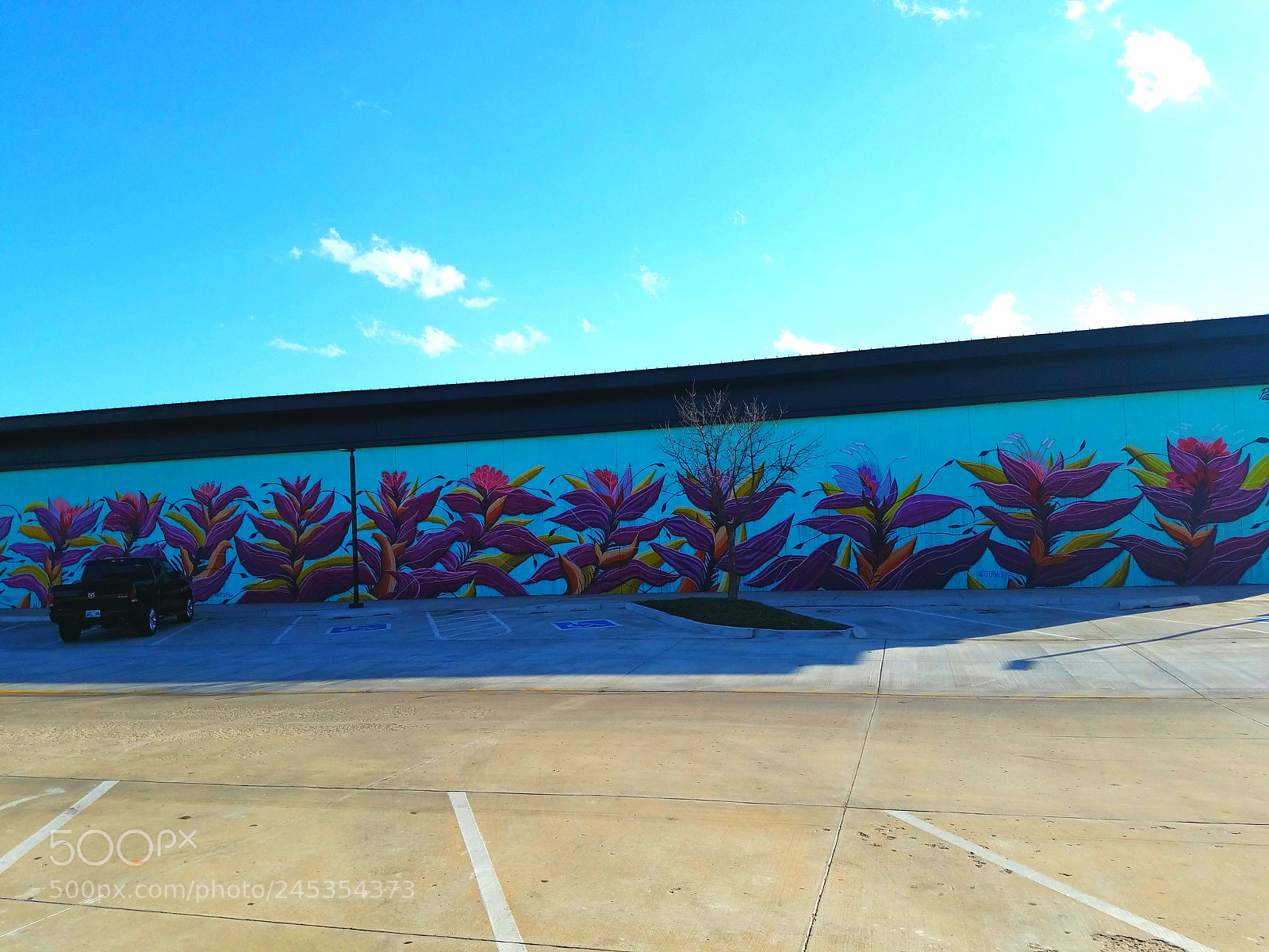 Samsung Galaxy S7 Edge sample photo. Mural photography