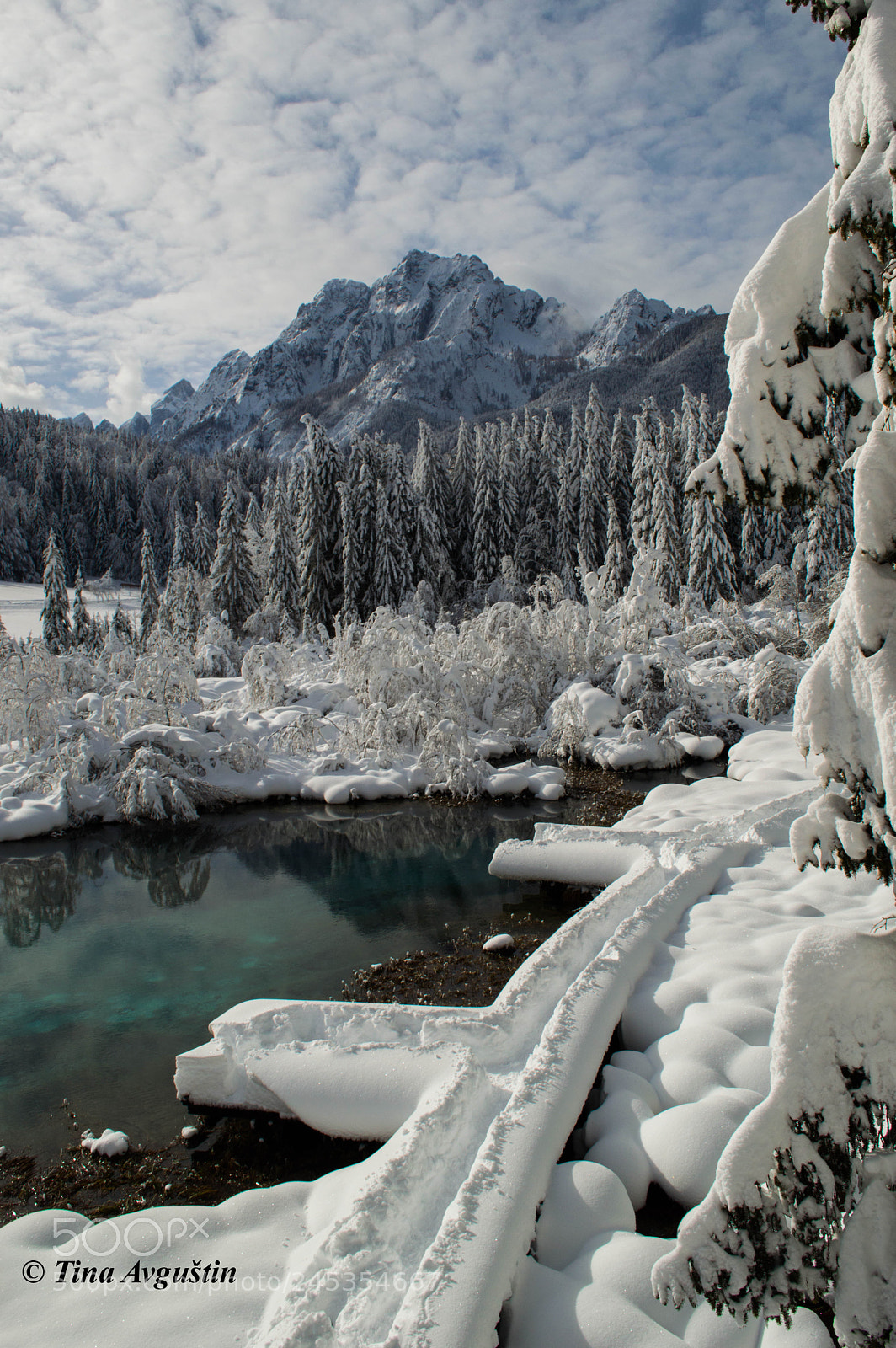 Nikon D3200 sample photo. Winter wonderland photography