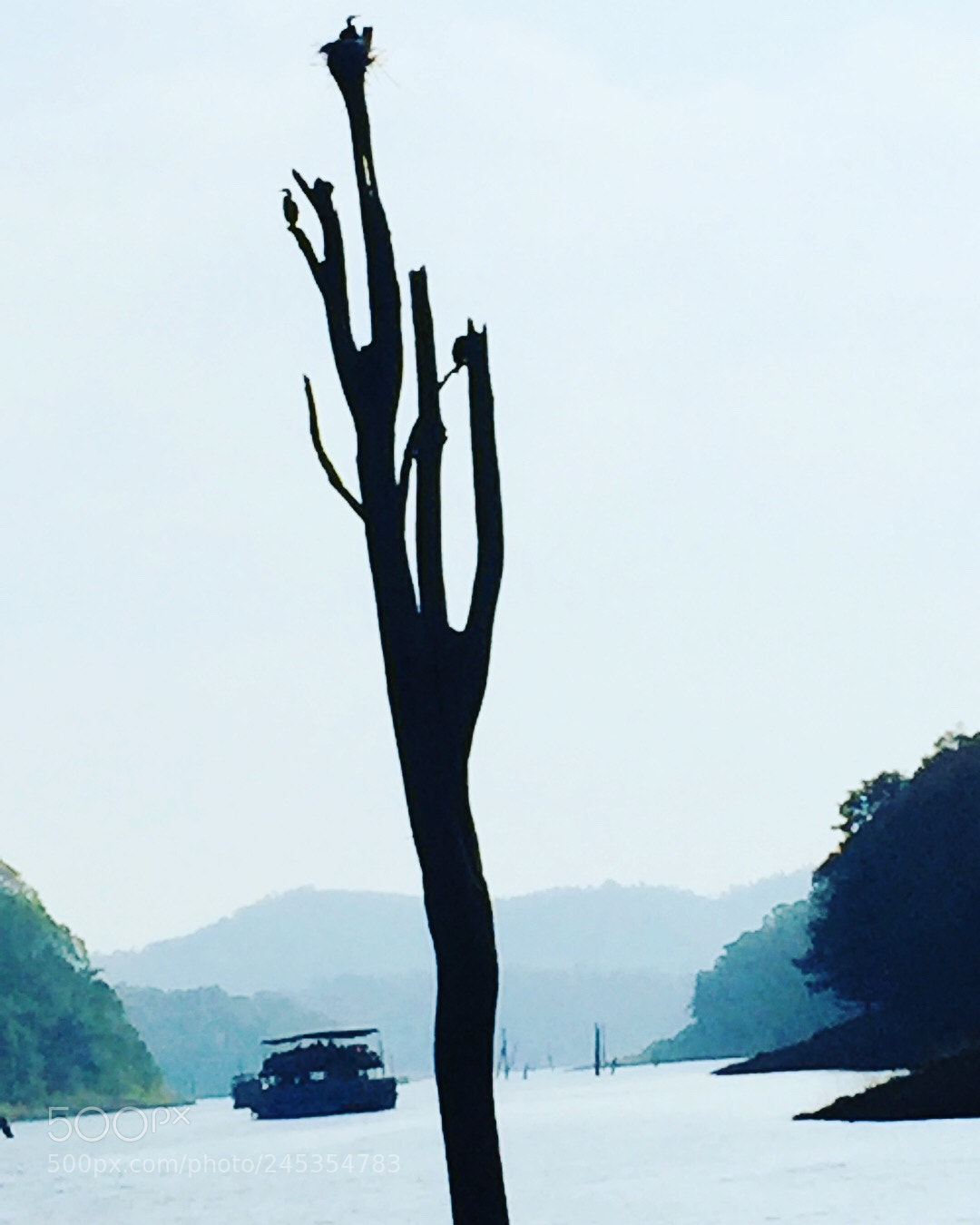 Apple iPhone 6 sample photo. Thekkady boating photography