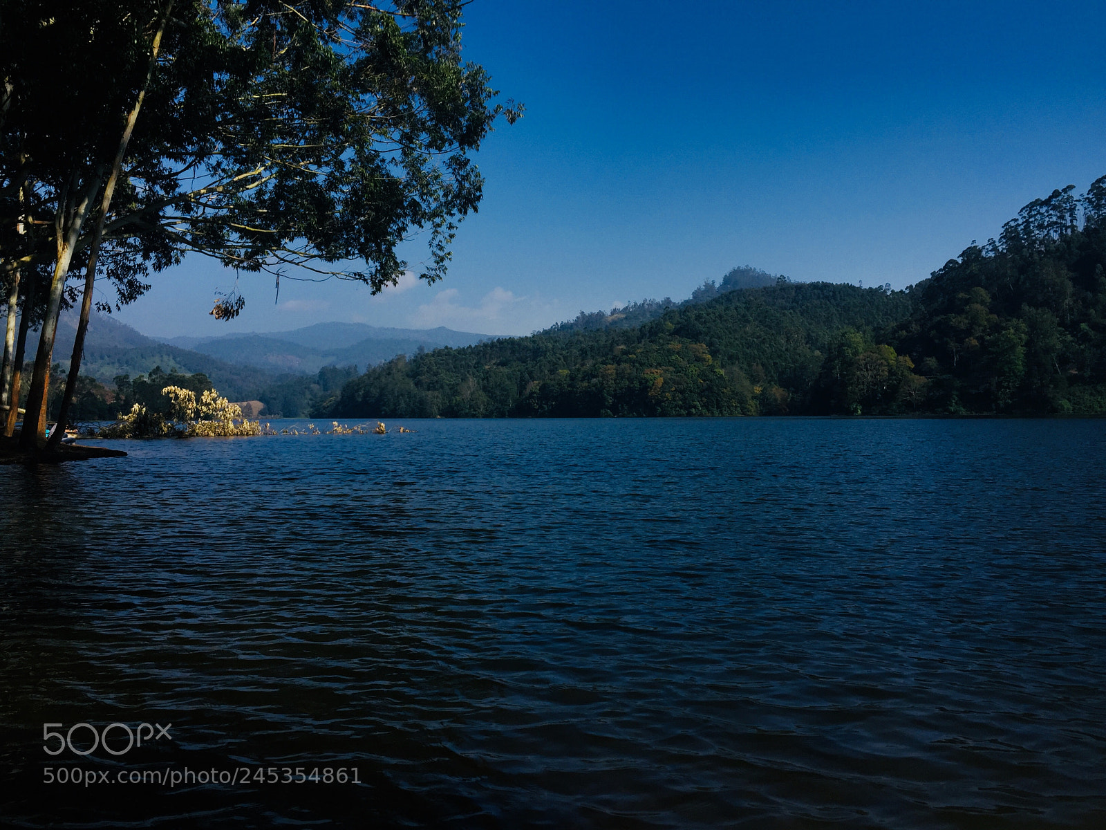 Apple iPhone 6 sample photo. Munnar photography