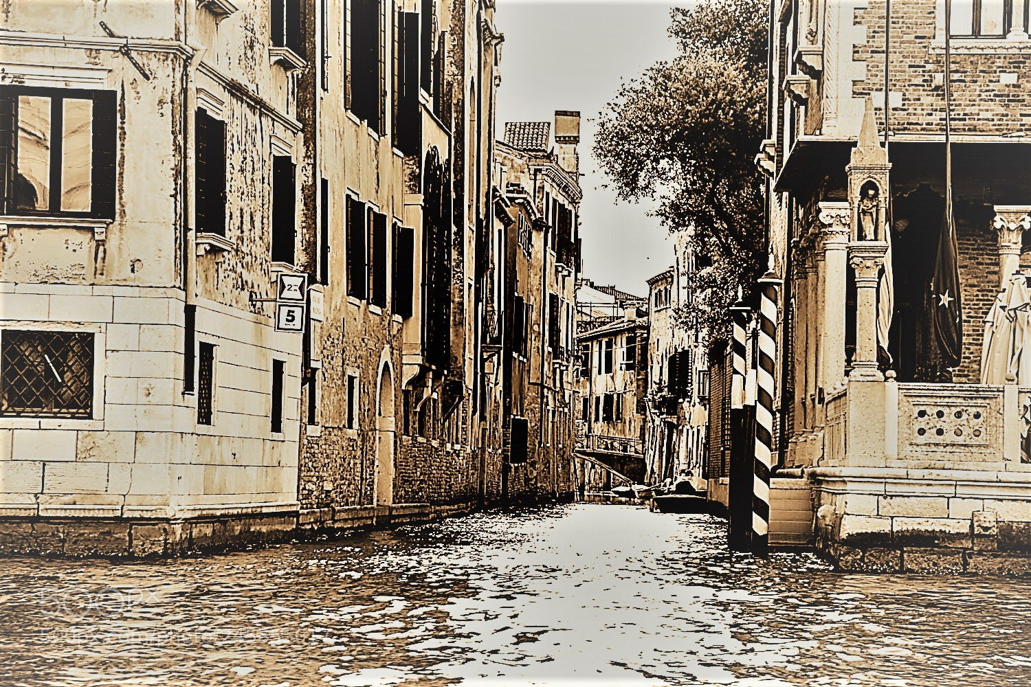 Canon EOS 60D sample photo. Venezia photography