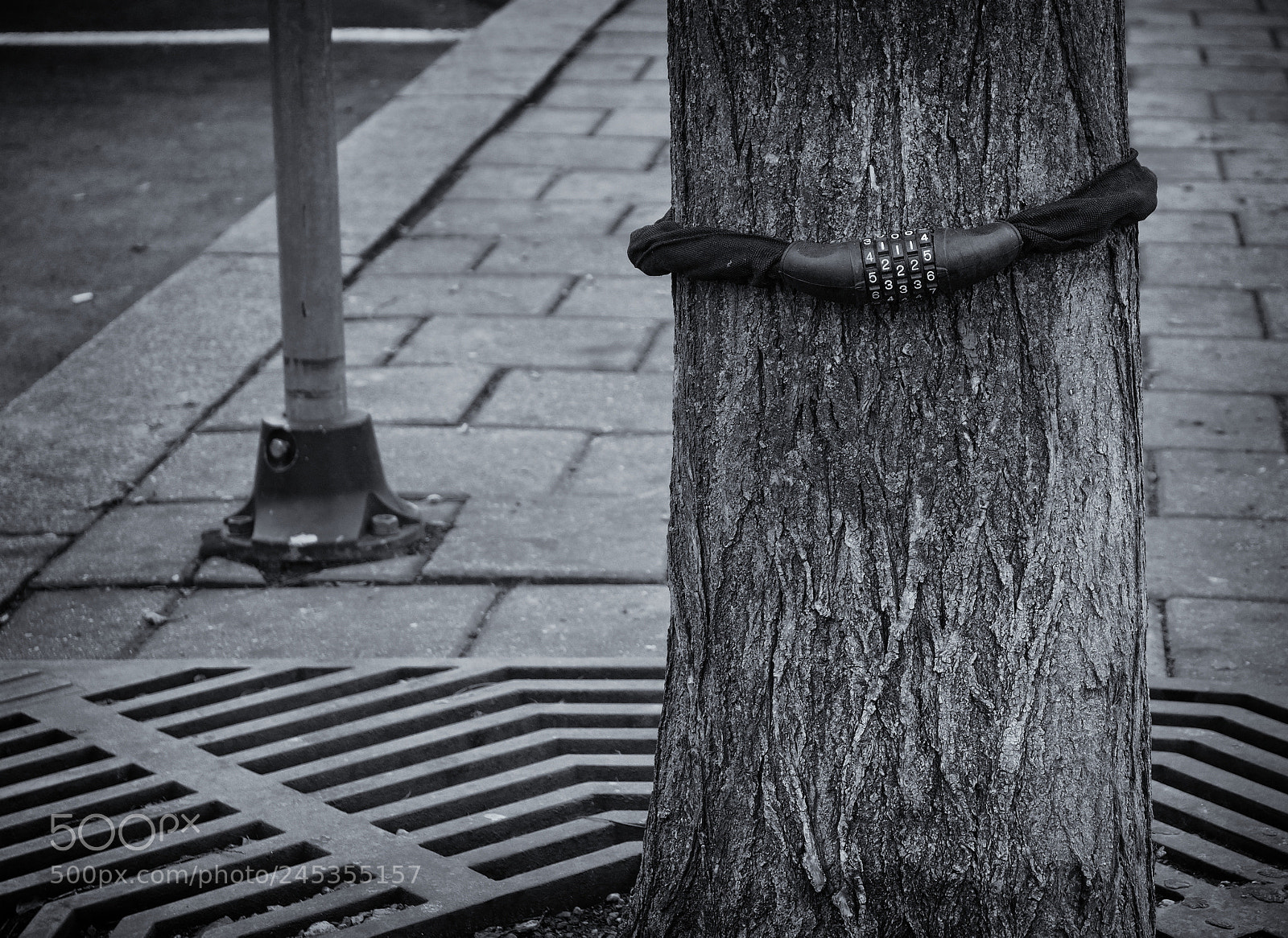 Olympus OM-D E-M10 II sample photo. . photography
