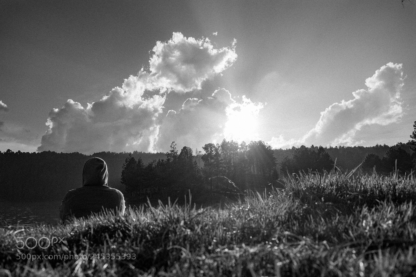 Nikon D5500 sample photo. Searching an inspiration photography