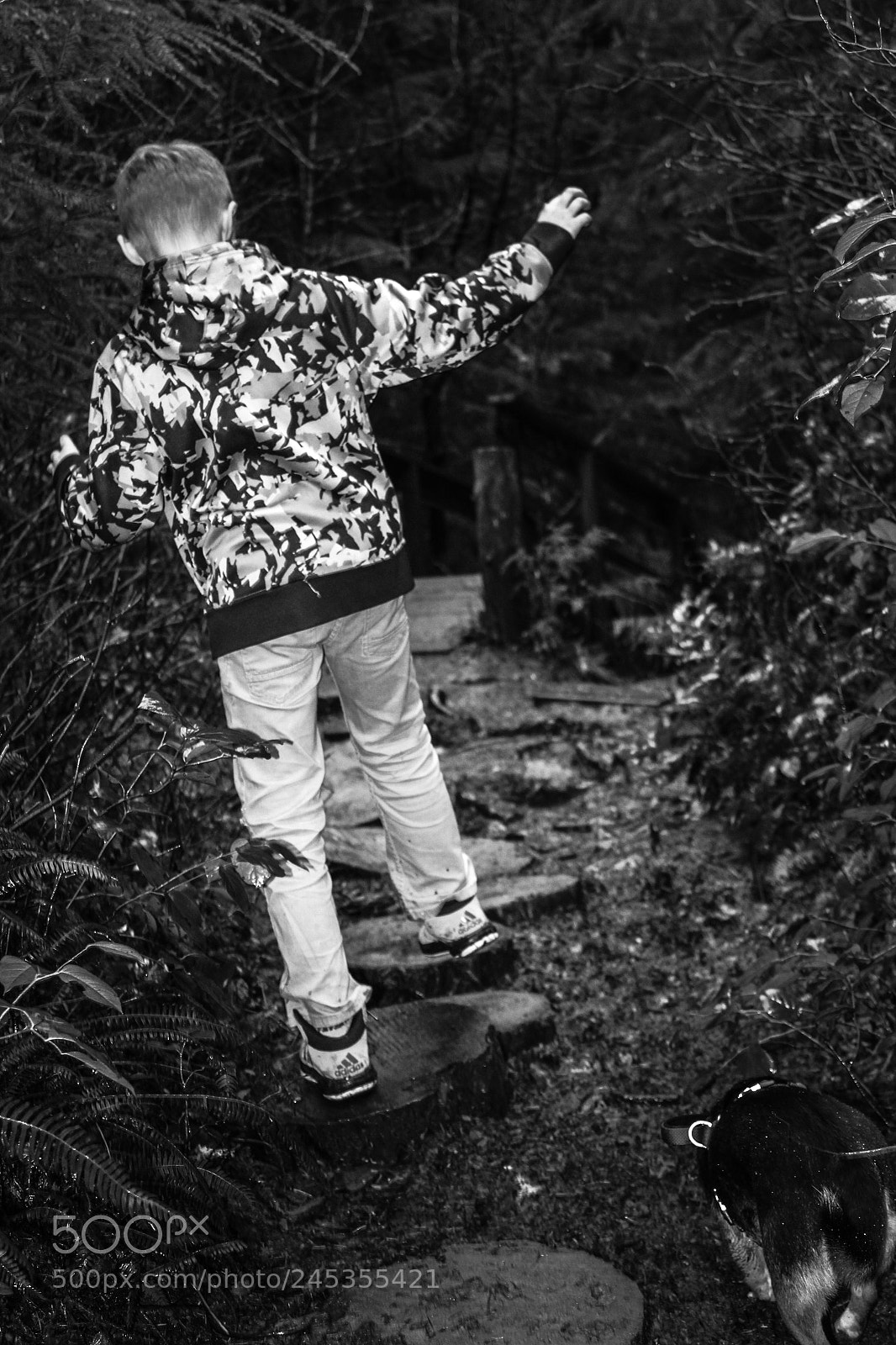 Canon EOS 1300D (EOS Rebel T6 / EOS Kiss X80) sample photo. Stewart park trail photography
