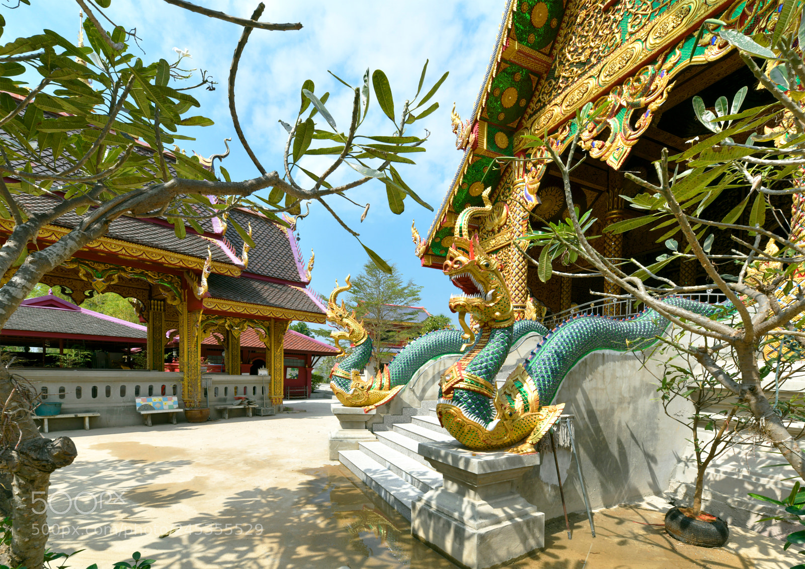 Nikon D850 sample photo. Wat san phra chao photography