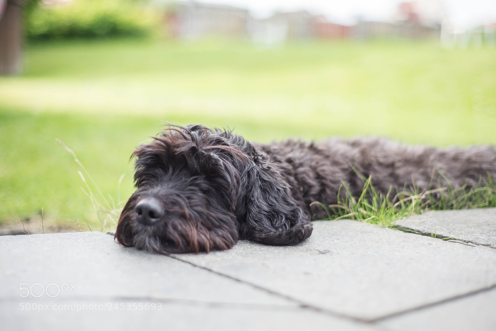 Nikon D610 sample photo. Say no more. i photography