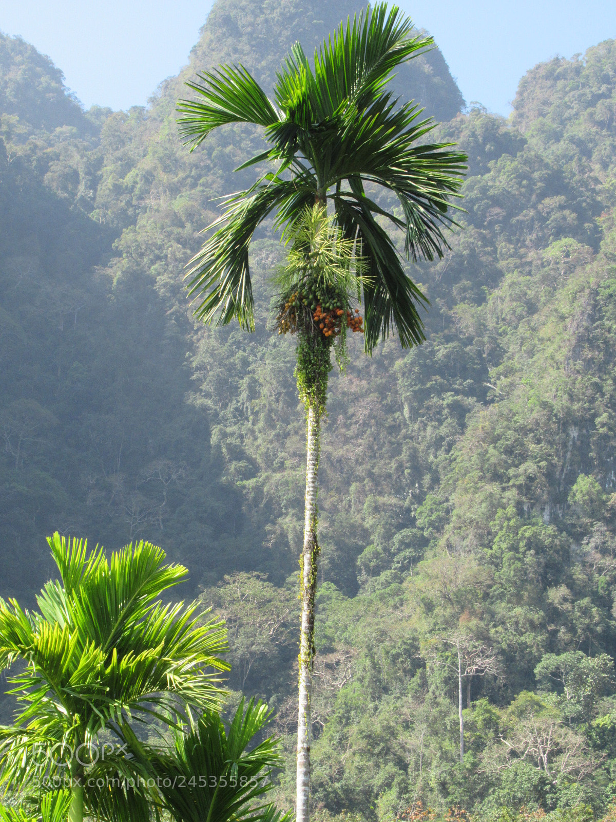 Canon PowerShot SX620 HS sample photo. Thailand ? photography