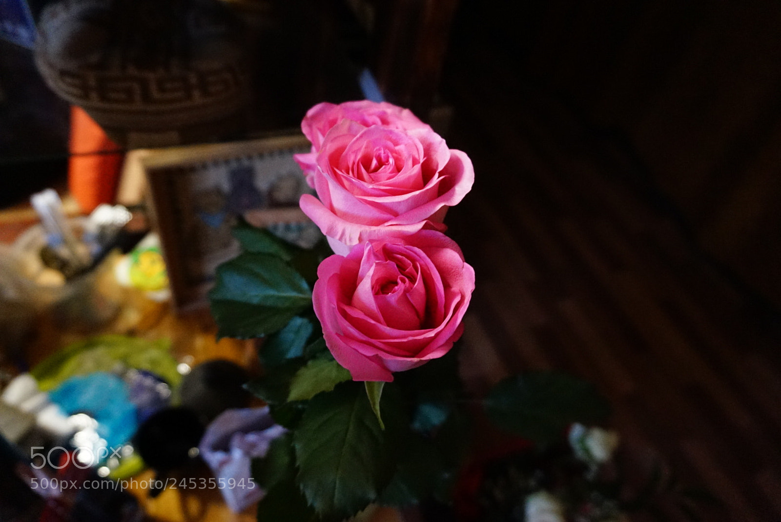 Sony Alpha a5000 (ILCE 5000) sample photo. Flower photography