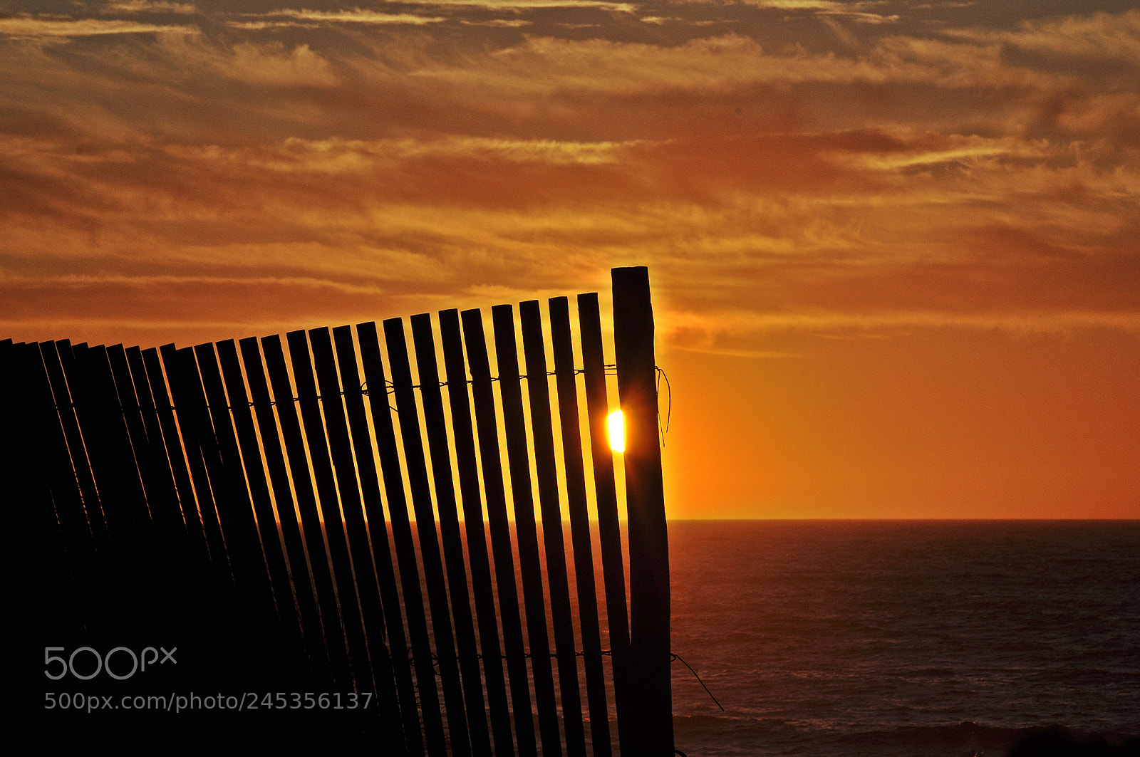 Nikon D90 sample photo. Sunset photography