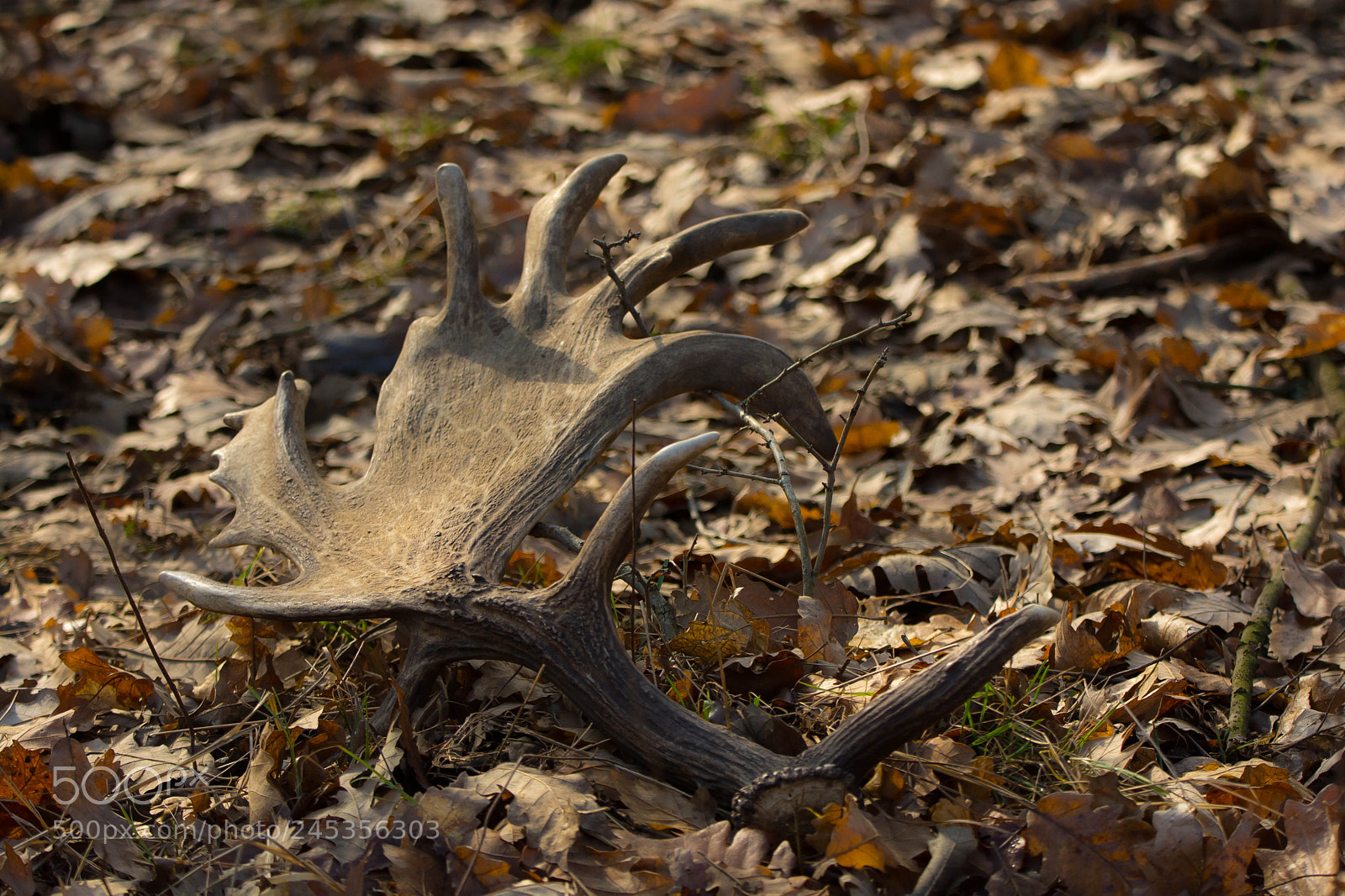 Nikon D7100 sample photo. :) photography