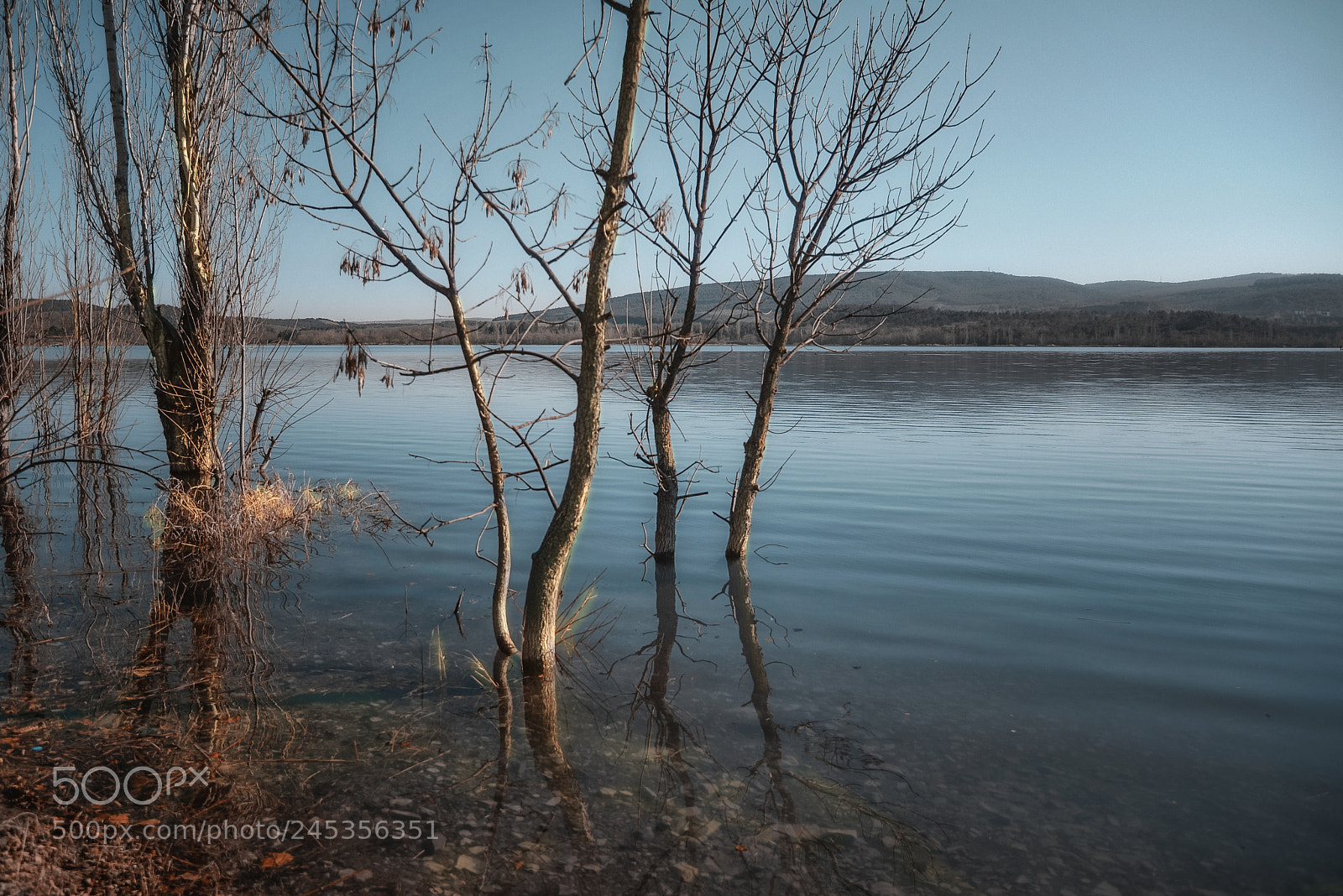 Nikon D610 sample photo. In 20 days the spring ... photography