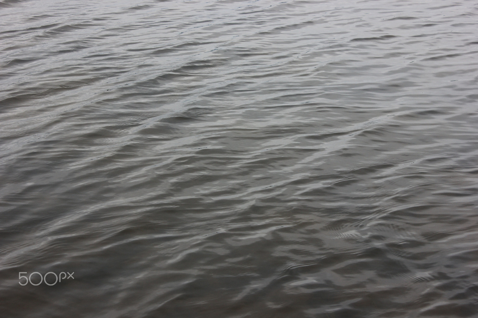 Canon EOS 550D (EOS Rebel T2i / EOS Kiss X4) sample photo. Waves of grey photography