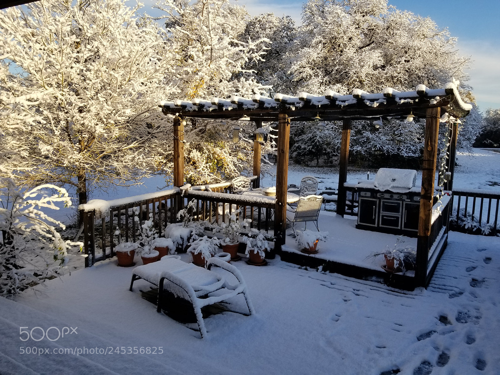 Samsung Galaxy S8+ sample photo. Untitled photography