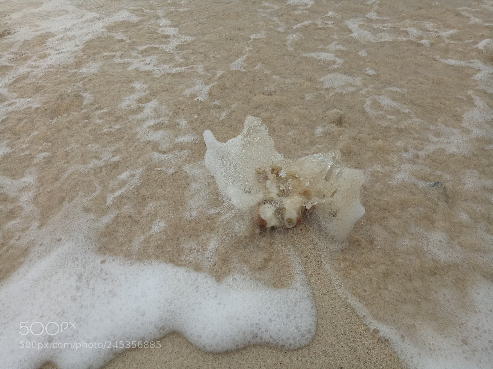 OPPO A1601 sample photo. Untitled photography