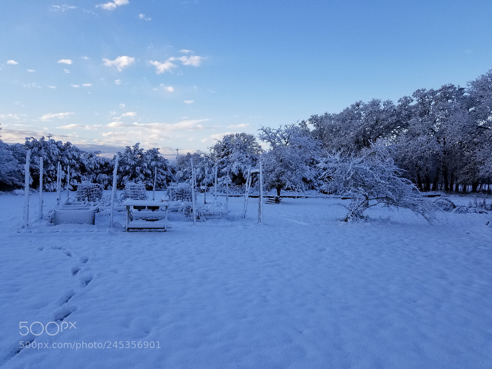 Samsung Galaxy S8+ sample photo. Untitled photography