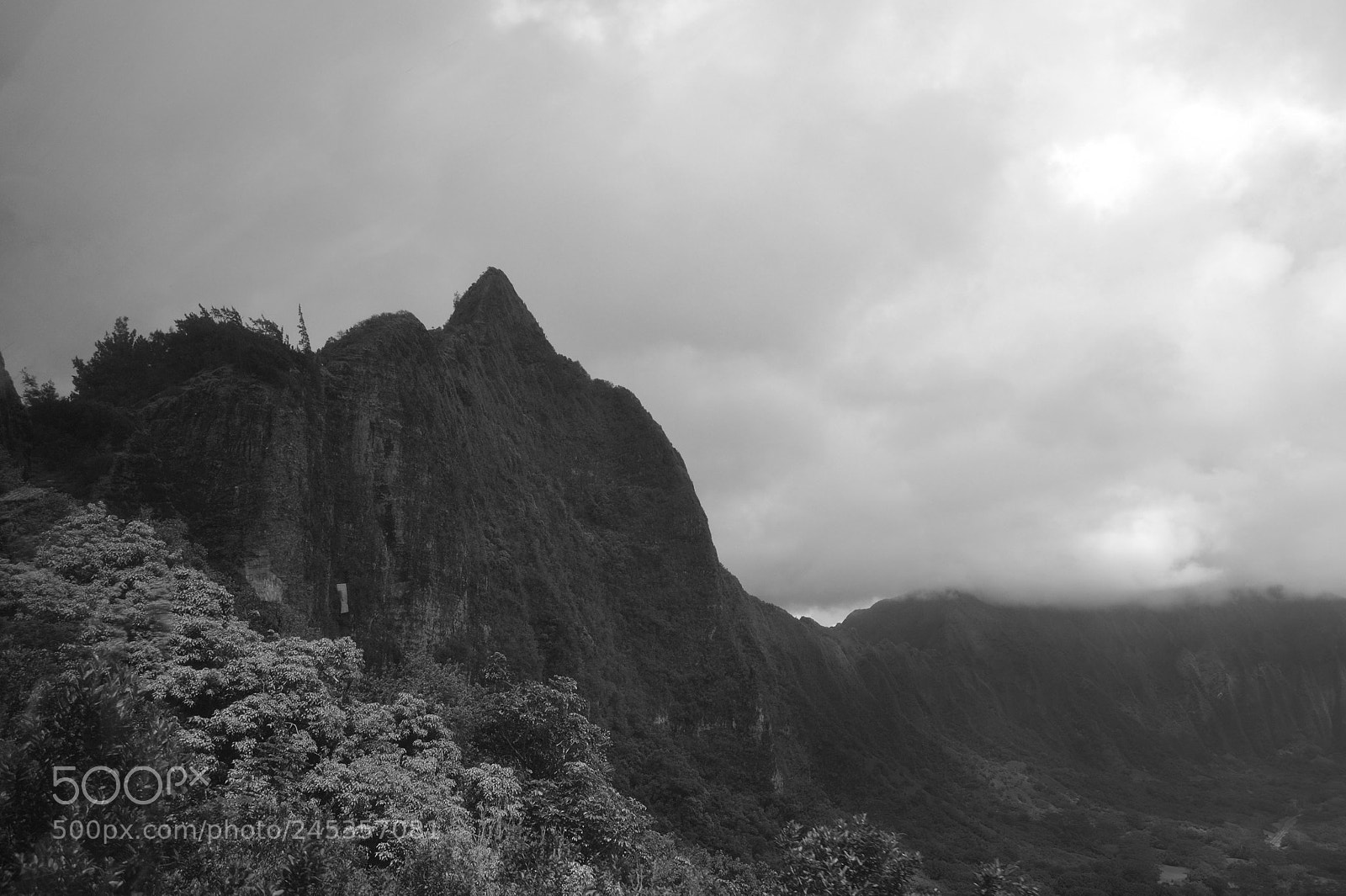 Nikon D3100 sample photo. Head in the clouds photography
