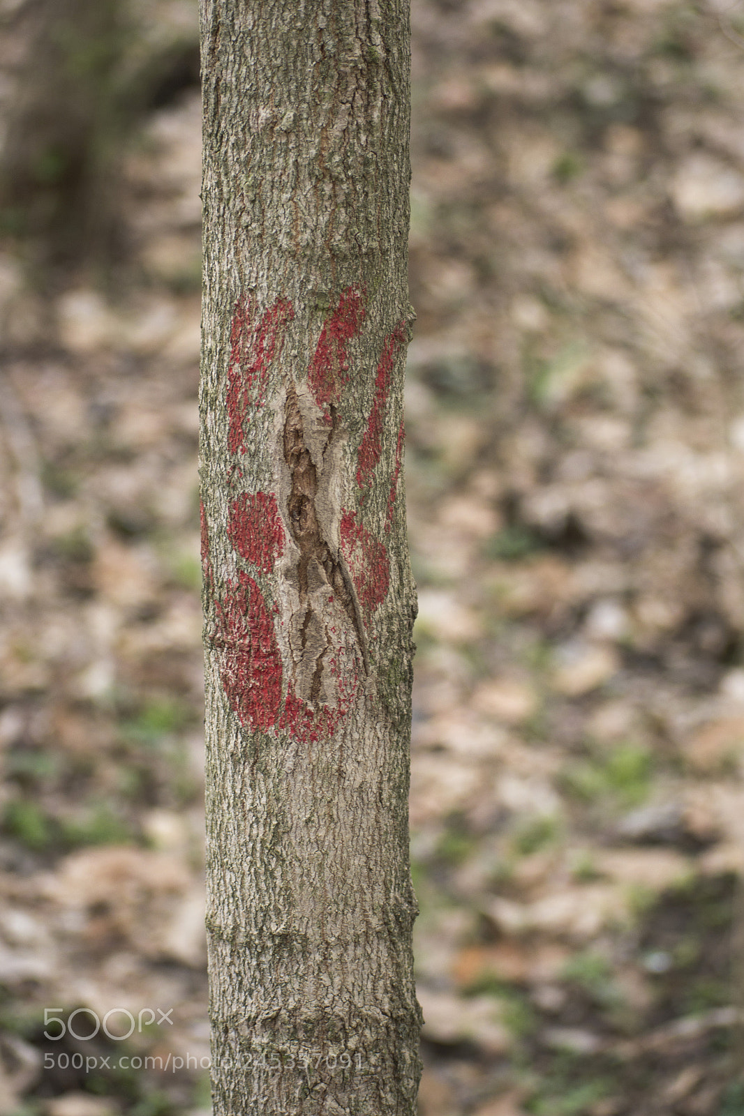 Nikon D3100 sample photo. I was here photography