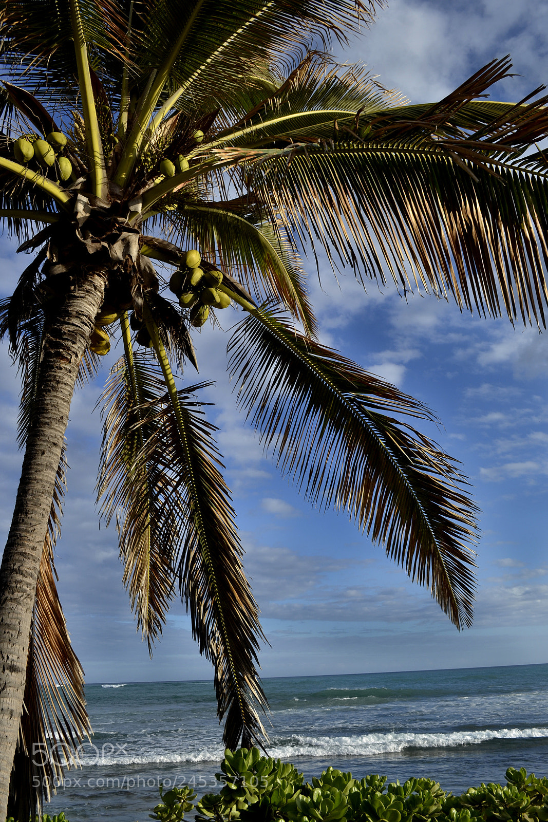 Nikon D3100 sample photo. Never want to go photography