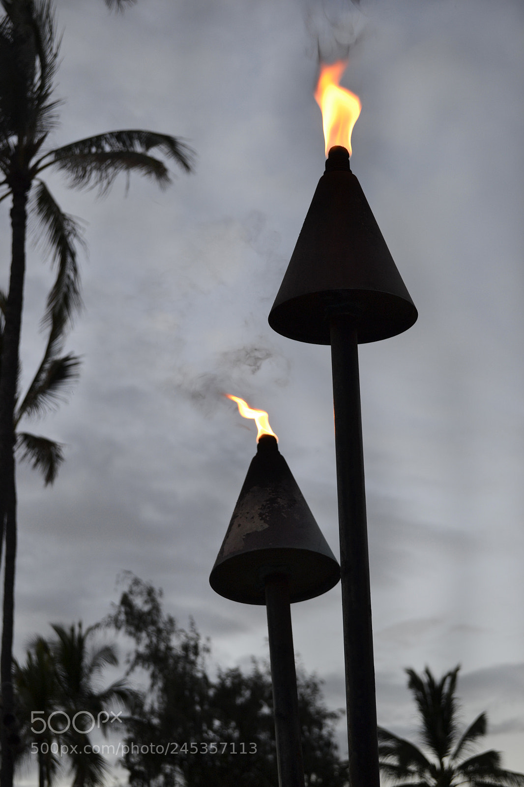 Nikon D3100 sample photo. Tiki photography