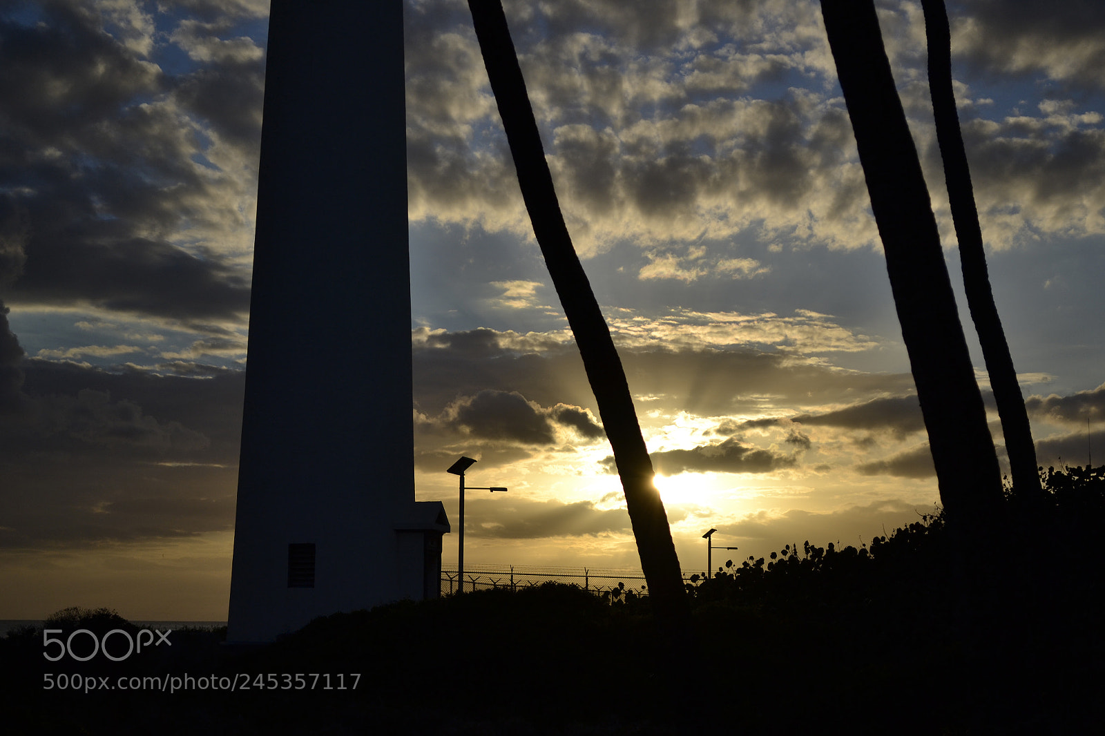 Nikon D3100 sample photo. Paradise sunset photography