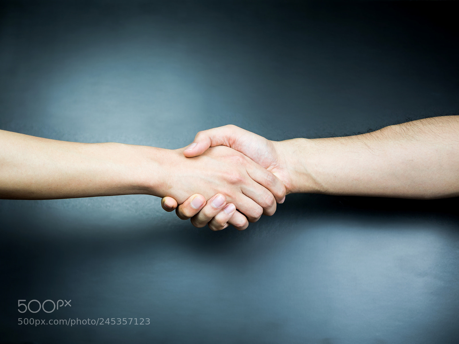 Olympus OM-D E-M10 sample photo. Two handed handshake on photography