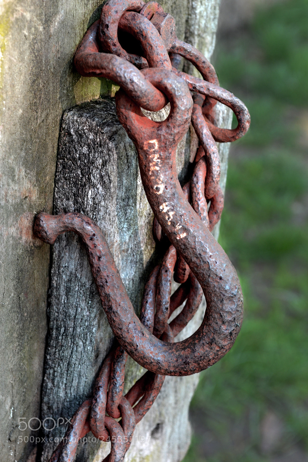 Nikon D3100 sample photo. Hooked photography