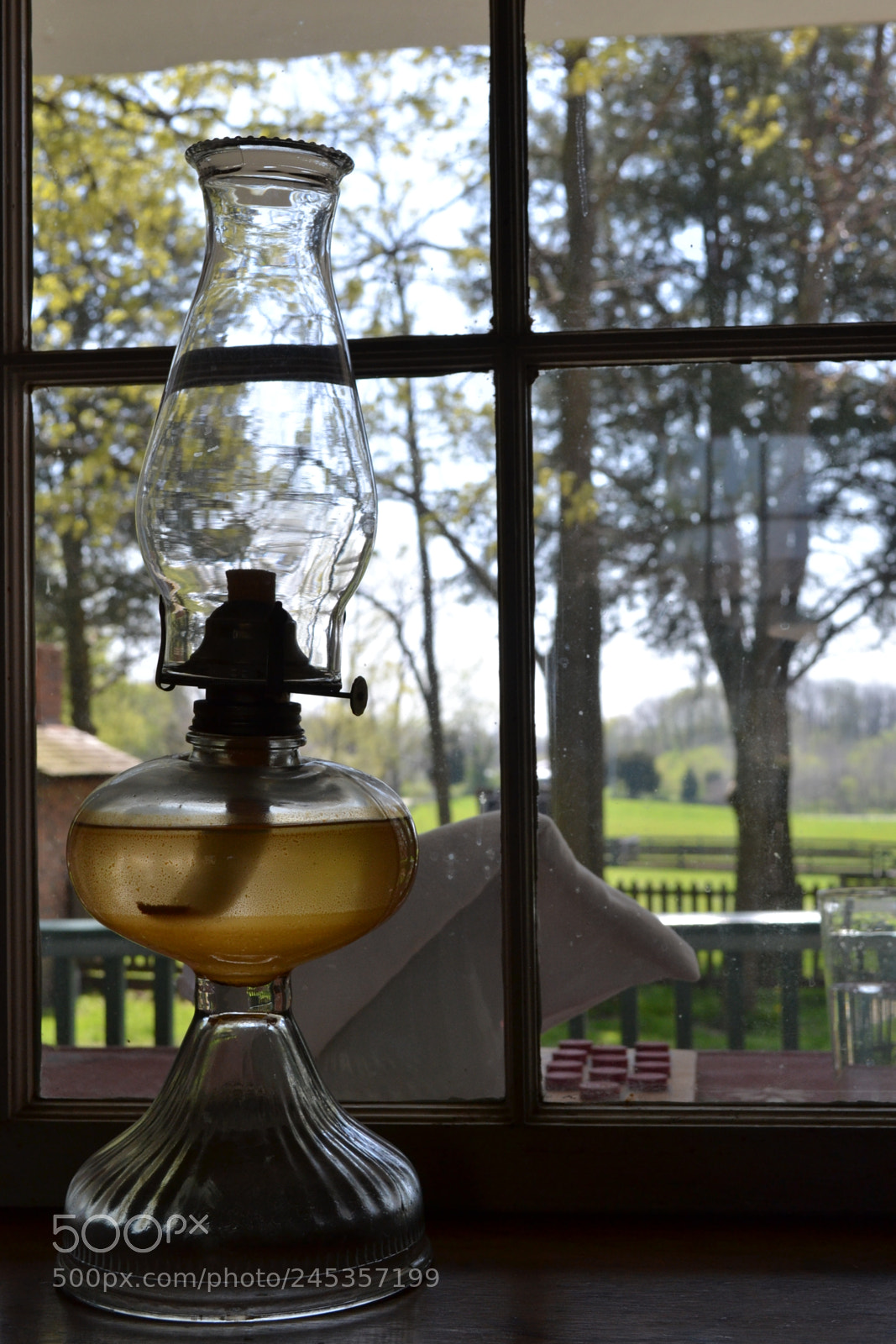 Nikon D3100 sample photo. Looking out photography